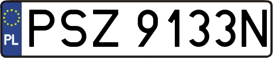 PSZ9133N