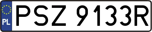 PSZ9133R
