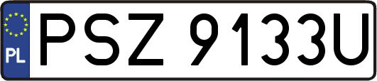 PSZ9133U
