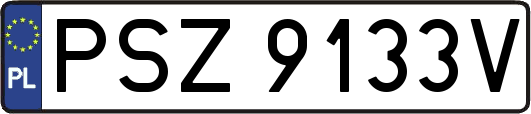 PSZ9133V