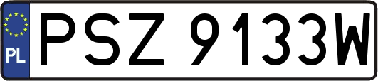 PSZ9133W
