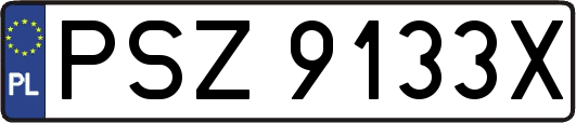 PSZ9133X