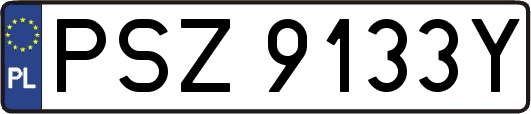 PSZ9133Y