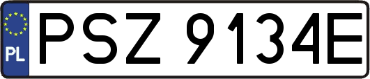 PSZ9134E