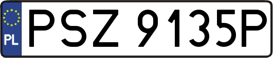 PSZ9135P
