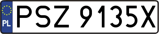 PSZ9135X