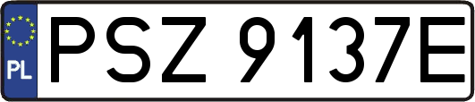 PSZ9137E