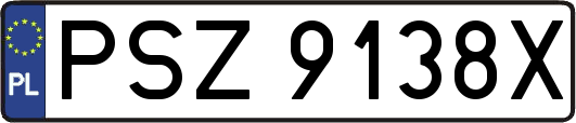 PSZ9138X