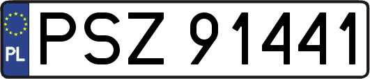 PSZ91441