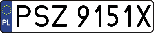 PSZ9151X