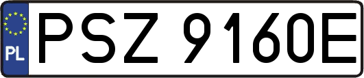 PSZ9160E