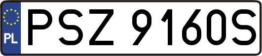 PSZ9160S