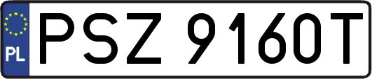 PSZ9160T