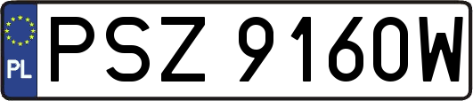 PSZ9160W