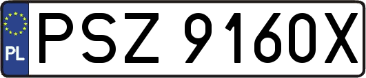 PSZ9160X