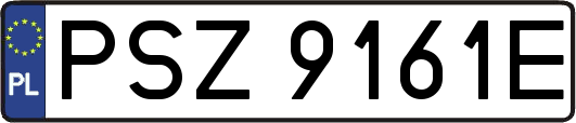 PSZ9161E