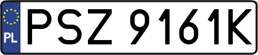 PSZ9161K