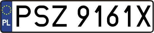 PSZ9161X