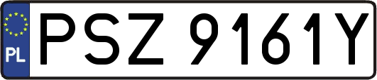 PSZ9161Y