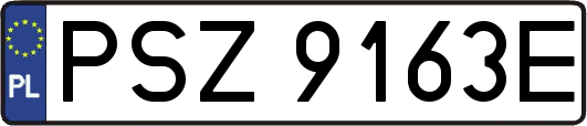 PSZ9163E