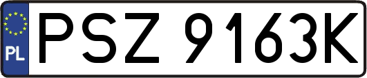 PSZ9163K