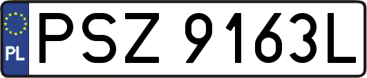 PSZ9163L