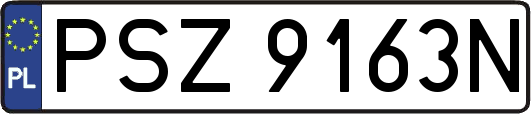 PSZ9163N