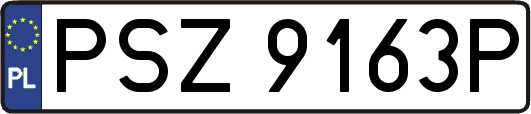 PSZ9163P