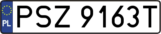PSZ9163T