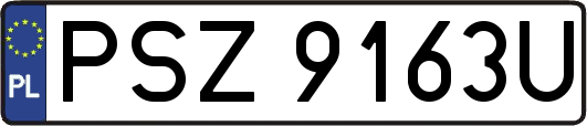 PSZ9163U