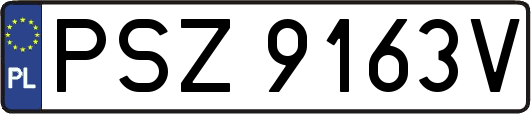 PSZ9163V