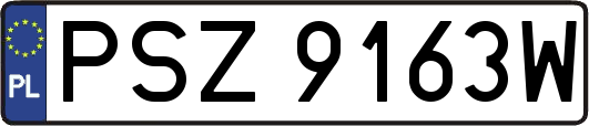 PSZ9163W