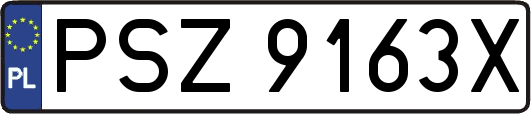 PSZ9163X
