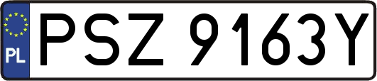 PSZ9163Y