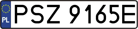 PSZ9165E