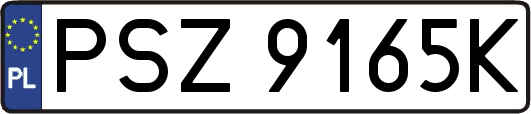 PSZ9165K