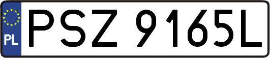 PSZ9165L
