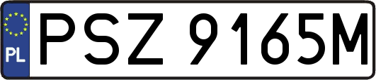 PSZ9165M