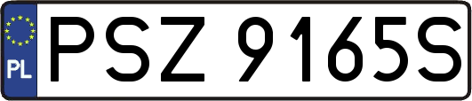 PSZ9165S