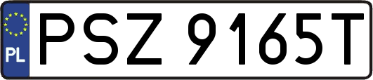 PSZ9165T