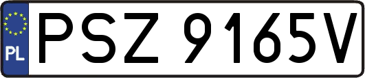 PSZ9165V