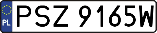 PSZ9165W