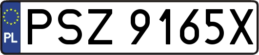 PSZ9165X
