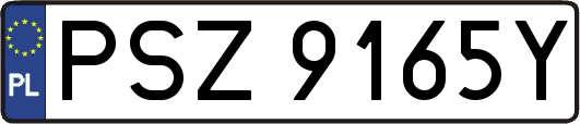 PSZ9165Y