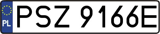PSZ9166E