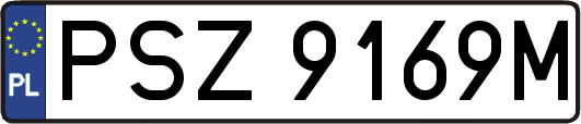 PSZ9169M