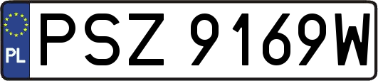 PSZ9169W