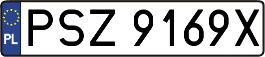 PSZ9169X