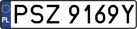 PSZ9169Y