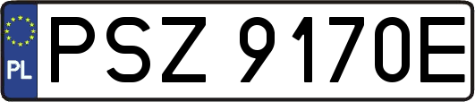 PSZ9170E